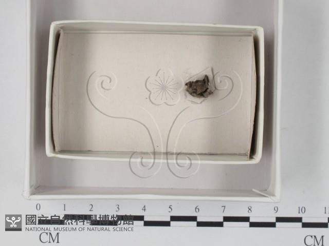 登錄號:F0018185藏品圖，第1張