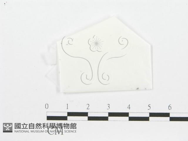 登錄號:F0000185藏品圖，第1張