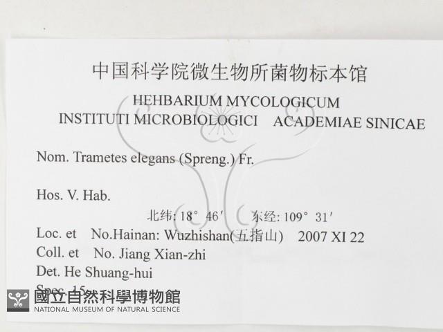 登錄號:F0026185藏品圖，第3張