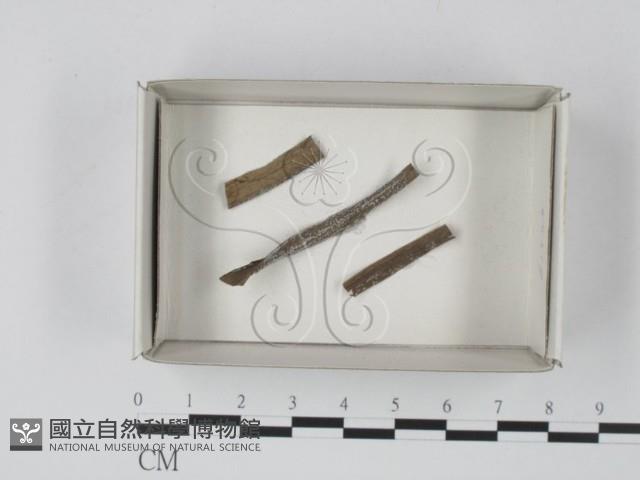 登錄號:F0021185藏品圖，第1張