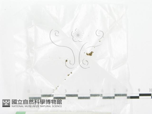 登錄號:F0001185藏品圖，第1張