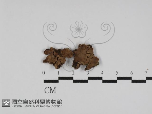 登錄號:F0031185藏品圖，第1張