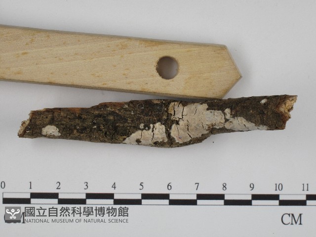 登錄號:F0004185藏品圖，第1張