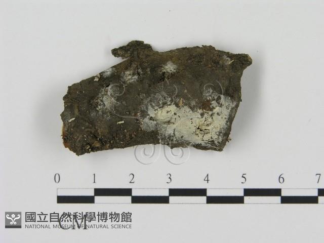 登錄號:F0012185藏品圖，第1張