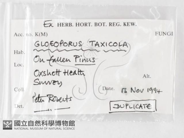 登錄號:F0003185藏品圖，第3張