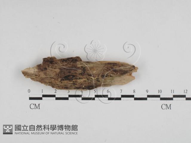 登錄號:F0028085藏品圖，第1張