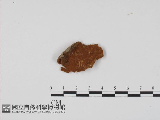 登錄號:F0017085藏品圖，第1張