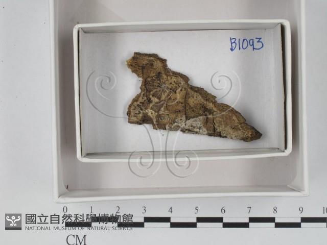 登錄號:F0018385藏品圖，第1張