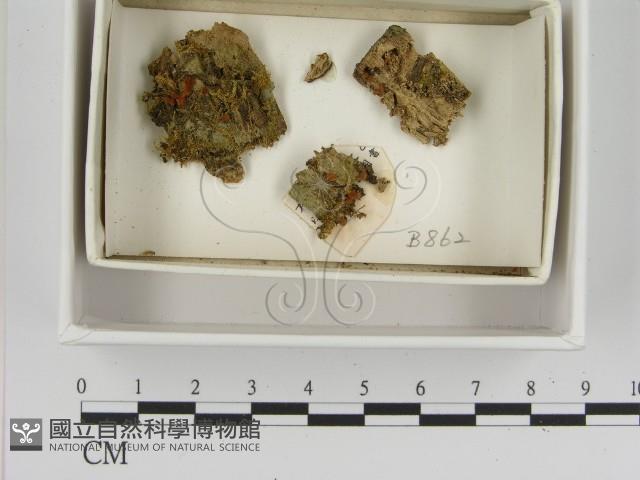登錄號:F0021385藏品圖，第1張