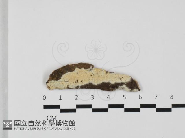 登錄號:F0032385藏品圖，第1張