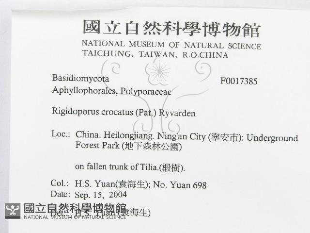 登錄號:F0017385藏品圖，第3張