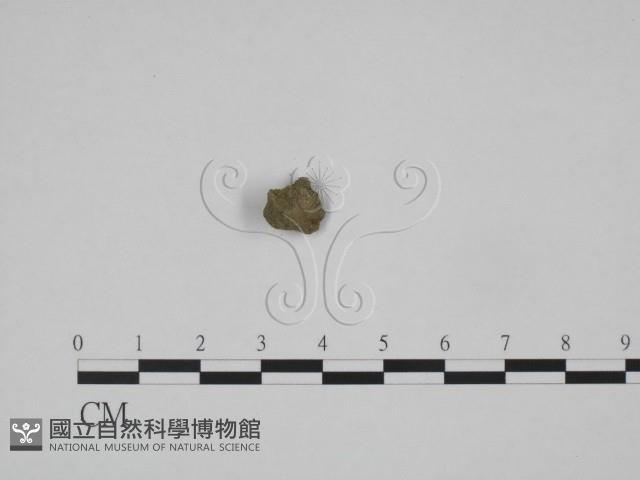 登錄號:F0005385藏品圖，第1張