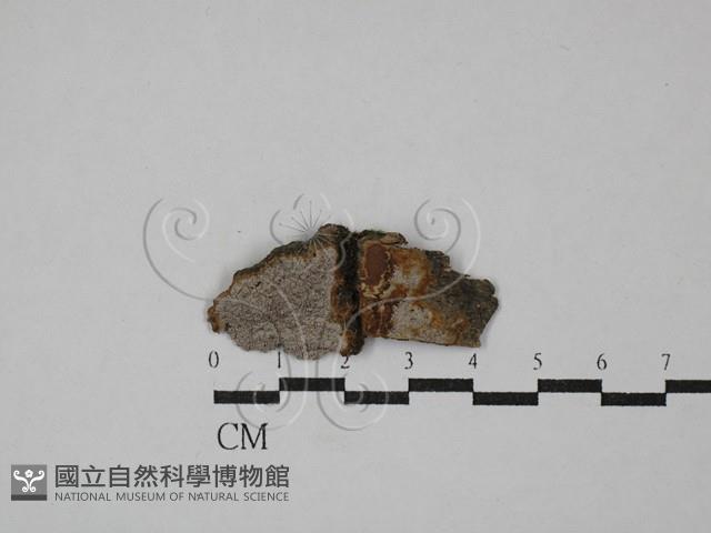 登錄號:F0029385藏品圖，第1張