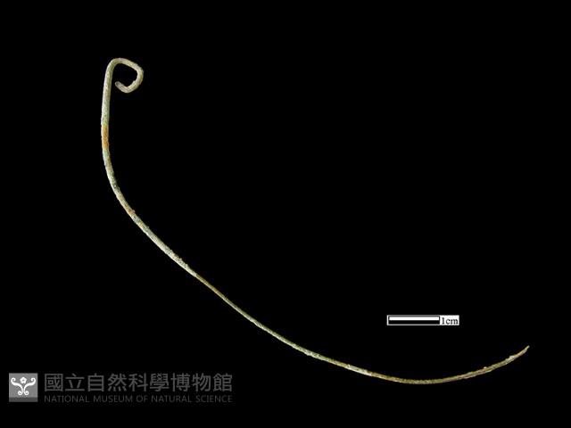 髮簪藏品圖，第2張