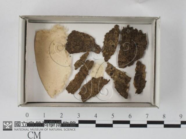 登錄號:F0018135藏品圖，第1張