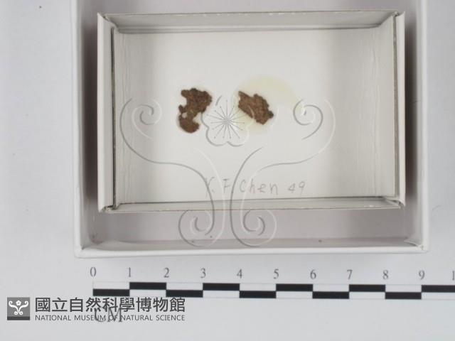 登錄號:F0018035藏品圖，第1張