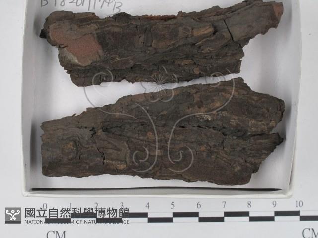 登錄號:F0018229藏品圖，第1張