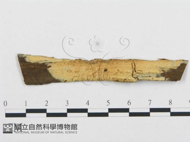 登錄號:F0004229藏品圖，第1張