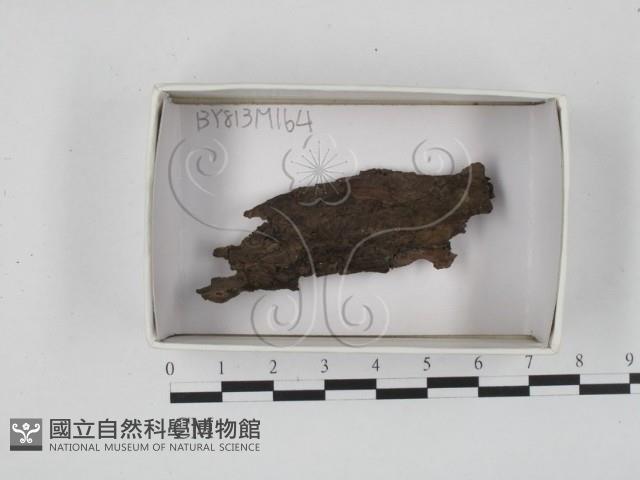 登錄號:F0018429藏品圖，第1張
