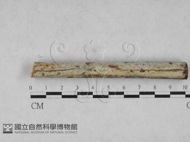 登錄號:F0028129藏品圖，第1張