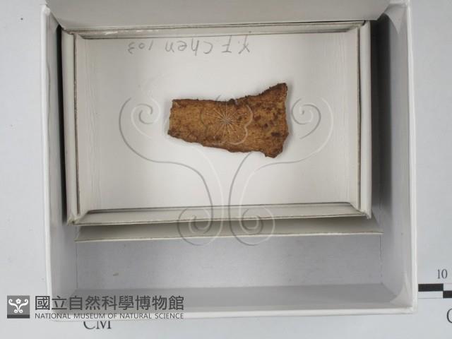 登錄號:F0018129藏品圖，第1張