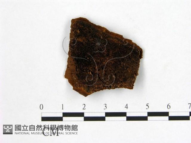 登錄號:F0006129藏品圖，第1張