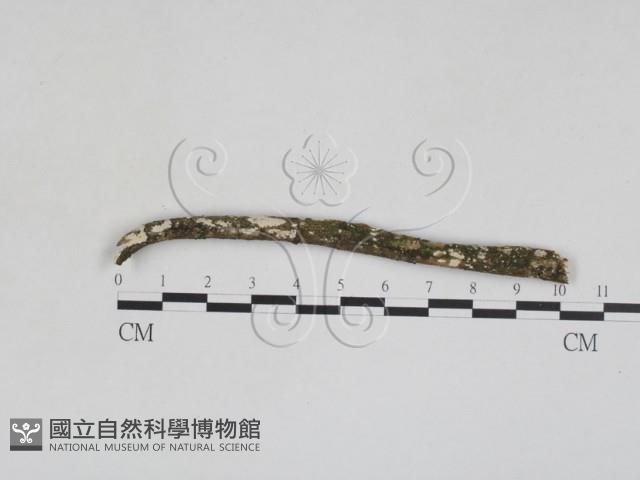 登錄號:F0028029藏品圖，第1張