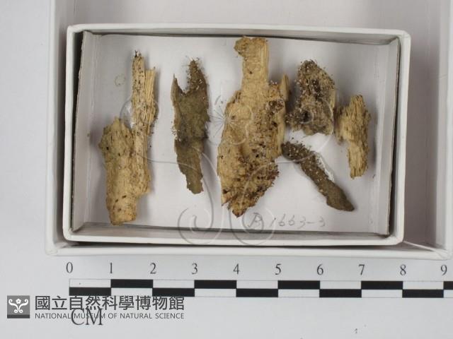 登錄號:F0018029藏品圖，第1張