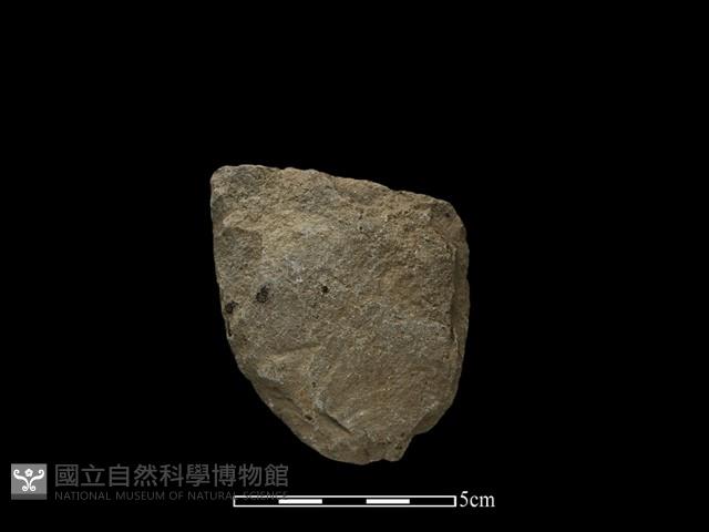 斧鋤形器藏品圖，第2張