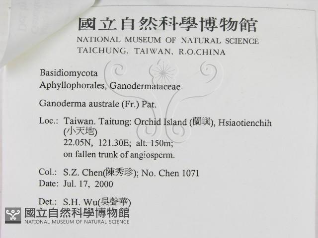 登錄號:F0012029藏品圖，第3張