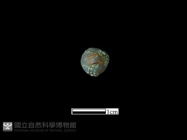 墜飾藏品圖，第1張