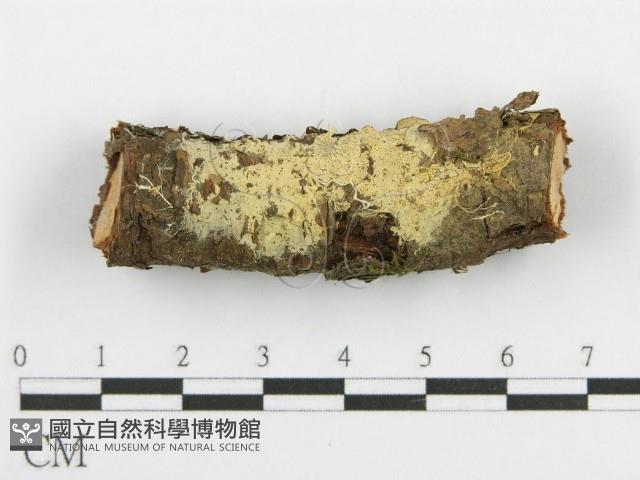 登錄號:F0015329藏品圖，第1張