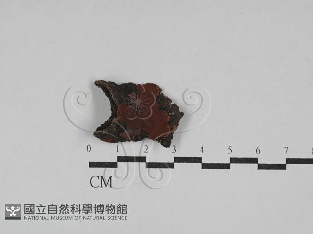 登錄號:F0029329藏品圖，第1張