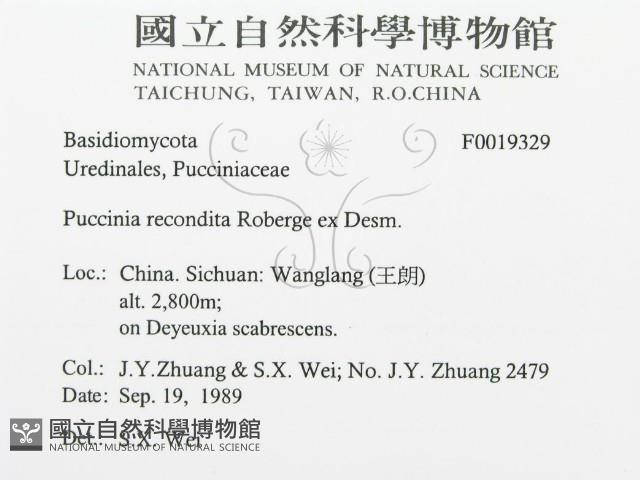 登錄號:F0019329藏品圖，第3張