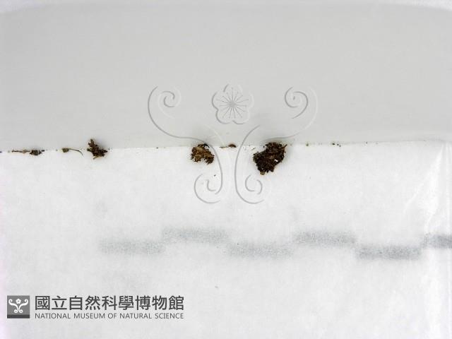 登錄號:F0000209藏品圖，第1張
