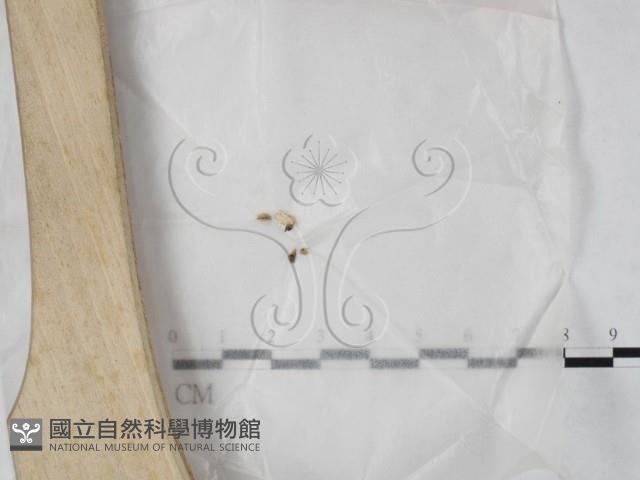 登錄號:F0023209藏品圖，第1張