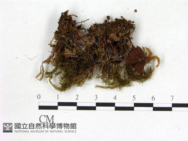 登錄號:F0013209藏品圖，第1張