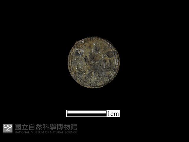 飾品藏品圖，第2張