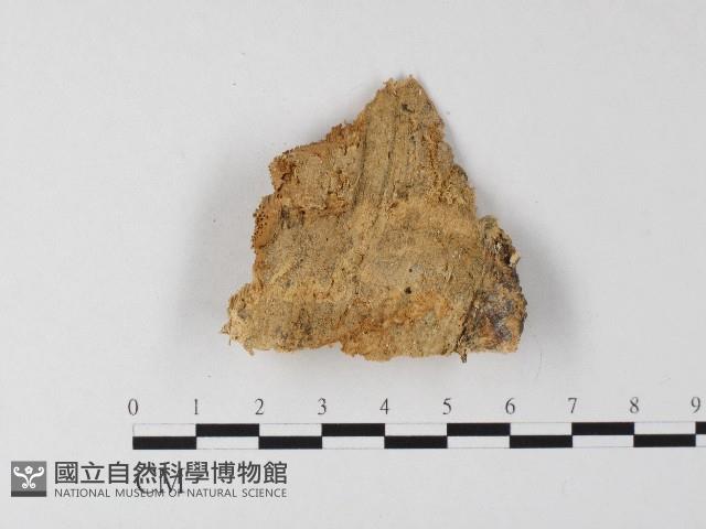 登錄號:F0006809藏品圖，第1張