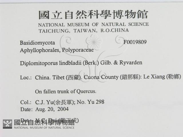 登錄號:F0019809藏品圖，第3張