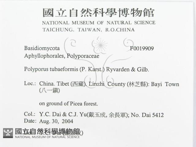 登錄號:F0019909藏品圖，第3張