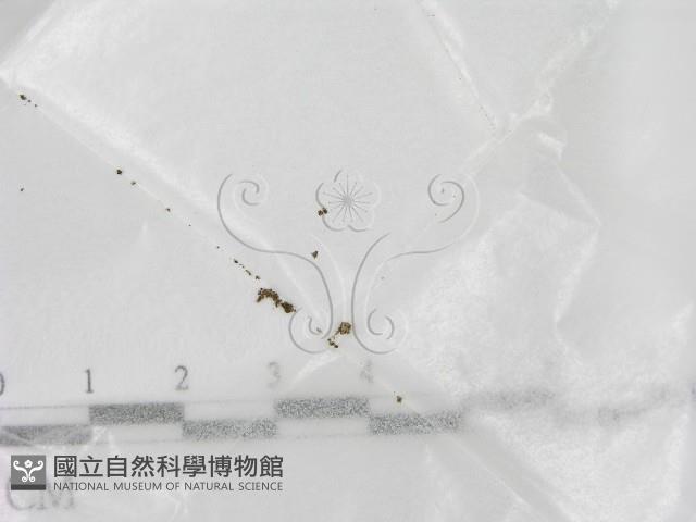 登錄號:F0021409藏品圖，第1張