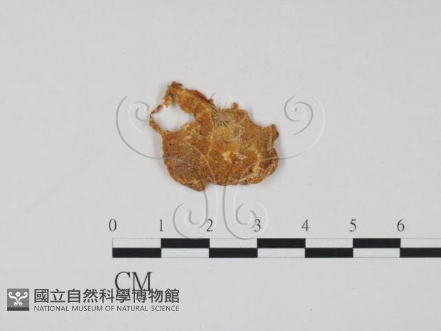 登錄號:F0011409藏品圖，第1張