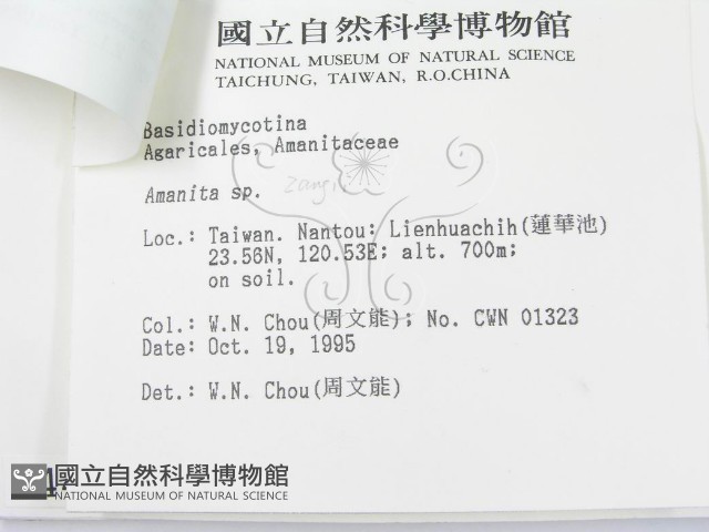登錄號:F0004409藏品圖，第3張
