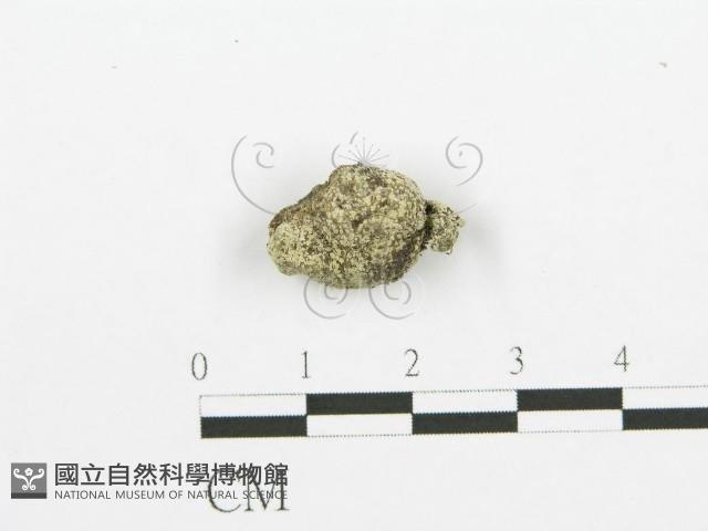 登錄號:F0000709藏品圖，第1張