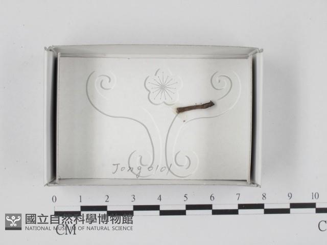 登錄號:F0018509藏品圖，第1張