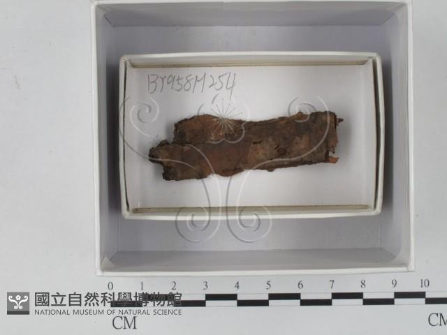 館號:F0018109藏品圖，第1張