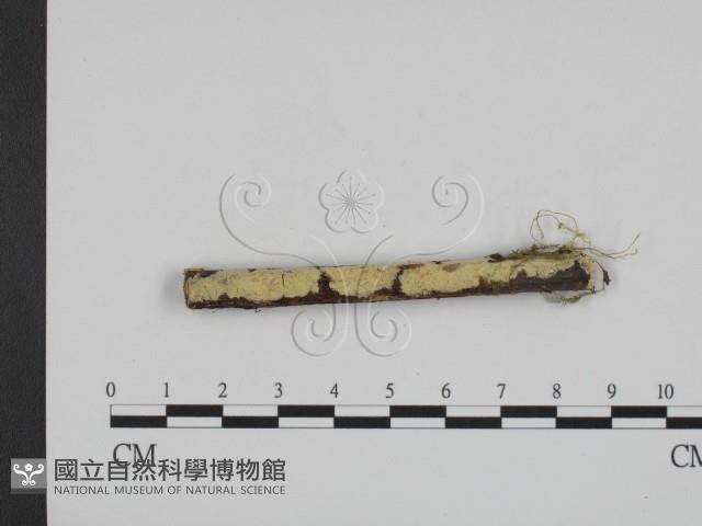 登錄號:F0001109藏品圖，第1張
