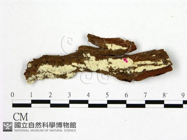 登錄號:F0004109藏品圖，第1張