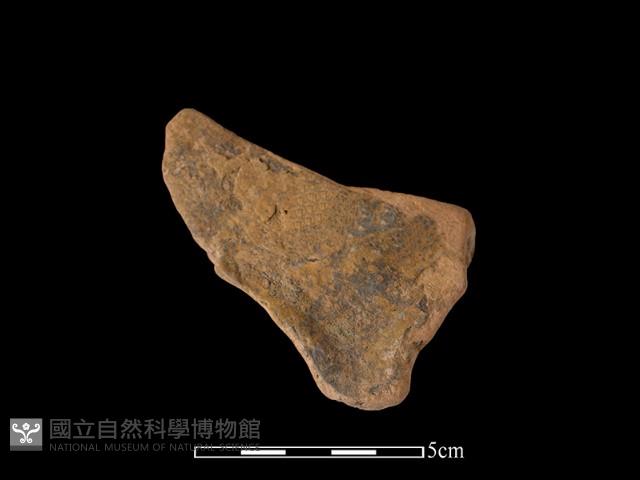 連杯形器藏品圖，第2張